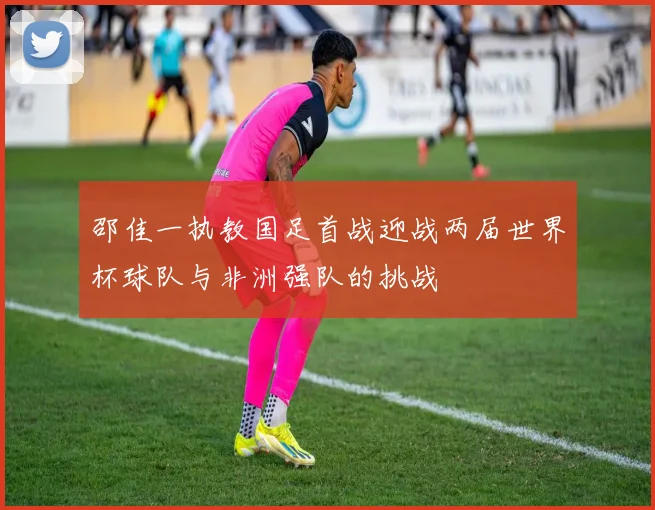 邵佳一执教国足首战迎战两届世界杯球队与非洲强队的挑战