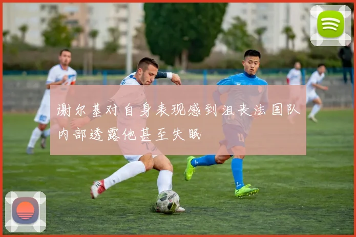 谢尔基对自身表现感到沮丧法国队内部透露他甚至失眠
