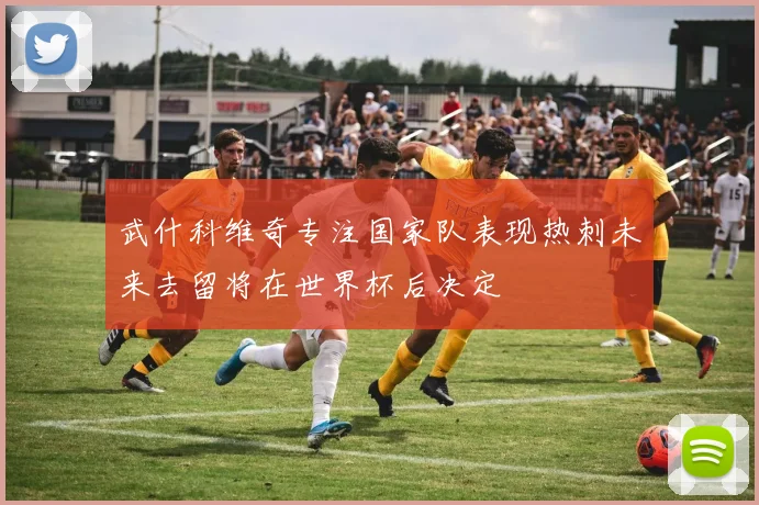 武什科维奇专注国家队表现热刺未来去留将在世界杯后决定