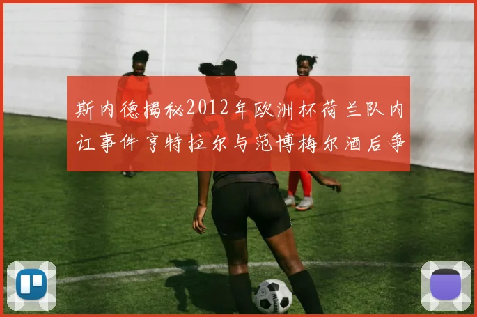 斯内德揭秘2012年欧洲杯荷兰队内讧事件亨特拉尔与范博梅尔酒后争执内幕