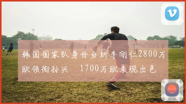韩国国家队身价分析李刚仁2800万欧领衔孙兴慜1700万欧表现出色