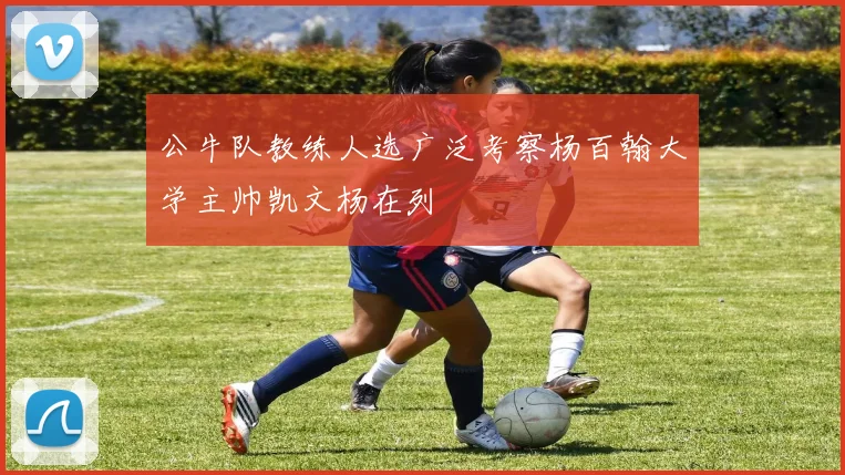 公牛队教练人选广泛考察杨百翰大学主帅凯文杨在列